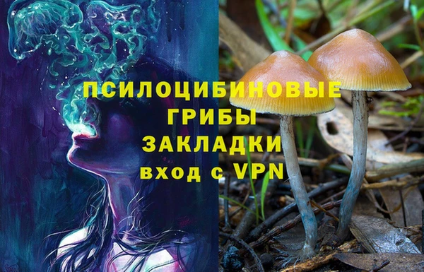 индика Кодинск