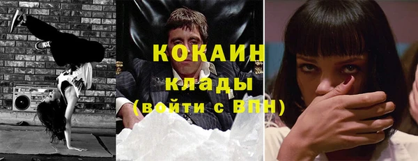 spice Сясьстрой