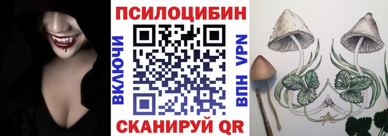 Купить где  Володарск  Галлюциногенные грибы Psilocybine cubensis 